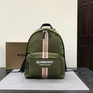 Burberry Handbags 254